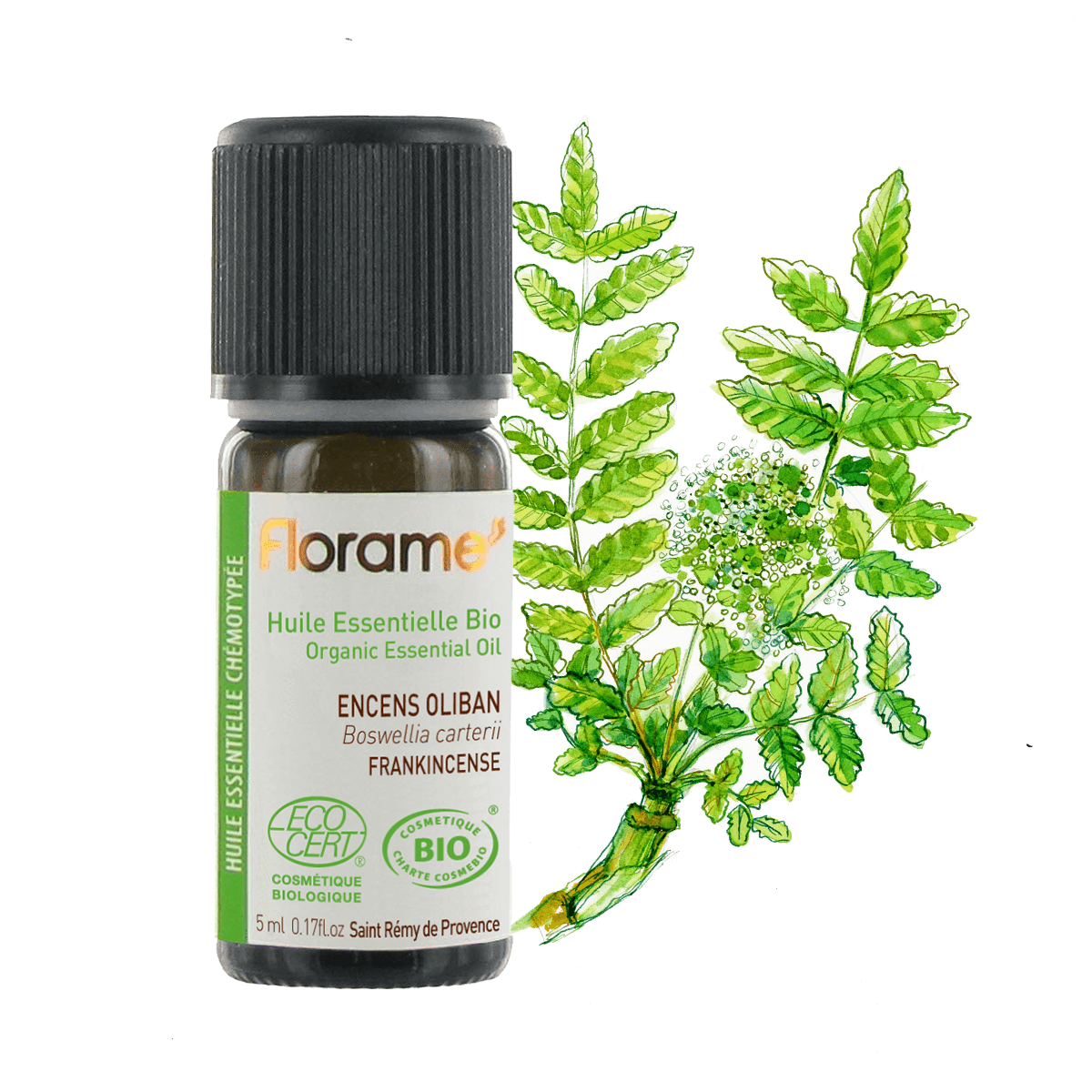 FLORAME Organic Essential Oil - Frankincense 有機乳香精油 [5ml] - MINT Organics