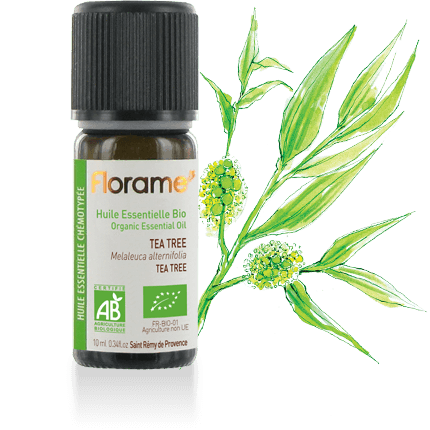FLORAME Organic Essential Oil - Tea Tree 有機茶樹精油 [10ml] - MINT Organics
